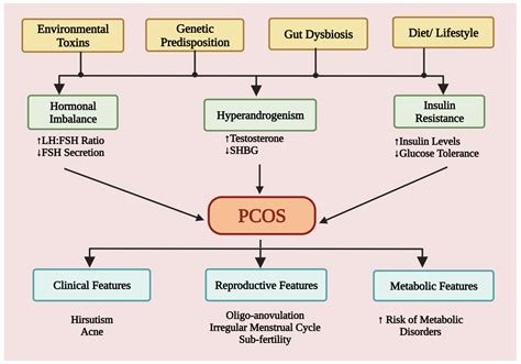 polycystic ovarian syndrome endocrine system
